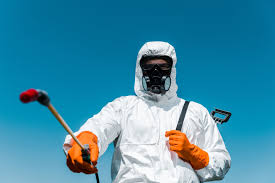 Reliable Tamalpais Homestead Valley, CA Pest Control Solutions